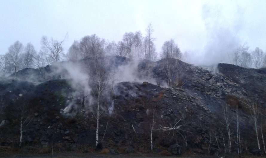 Эксперт ТГУ: в поджогах каменного угля «виноваты» микробы