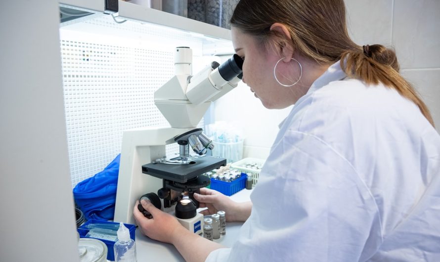 Ученые ТГУ ищут безопасное «противоядие» от бактерий, «взрывающих» головки сыра